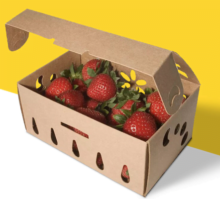 hộp đựng quà cưới